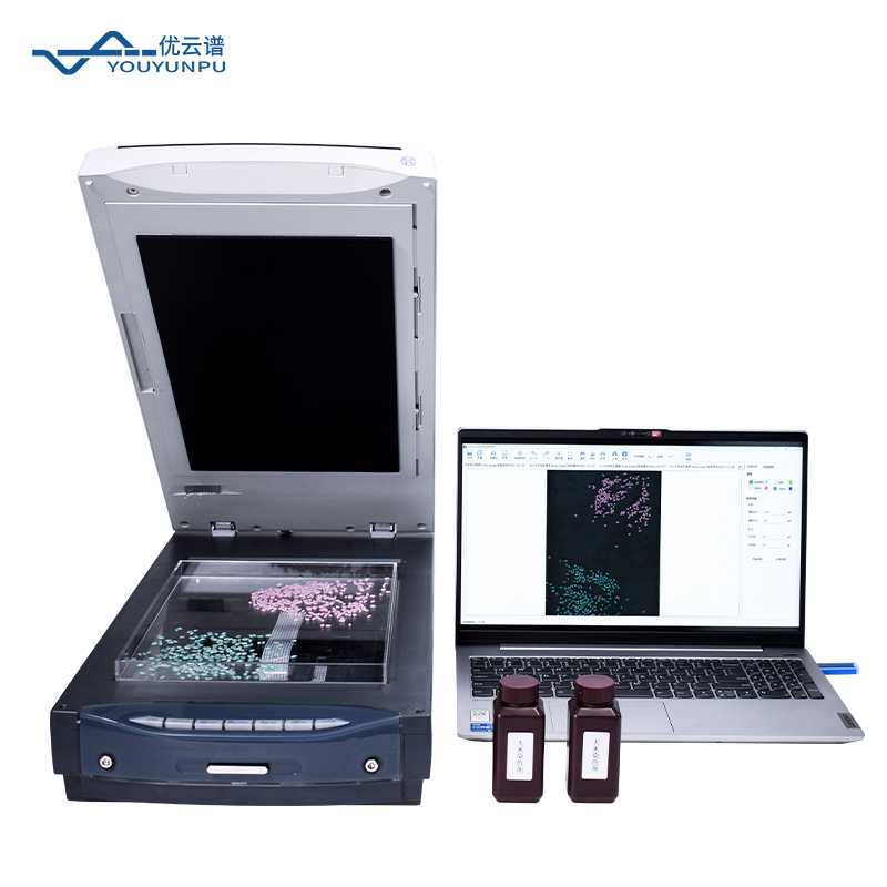 大米加工精度測定儀操作全流程解析：精準檢測與應用指南